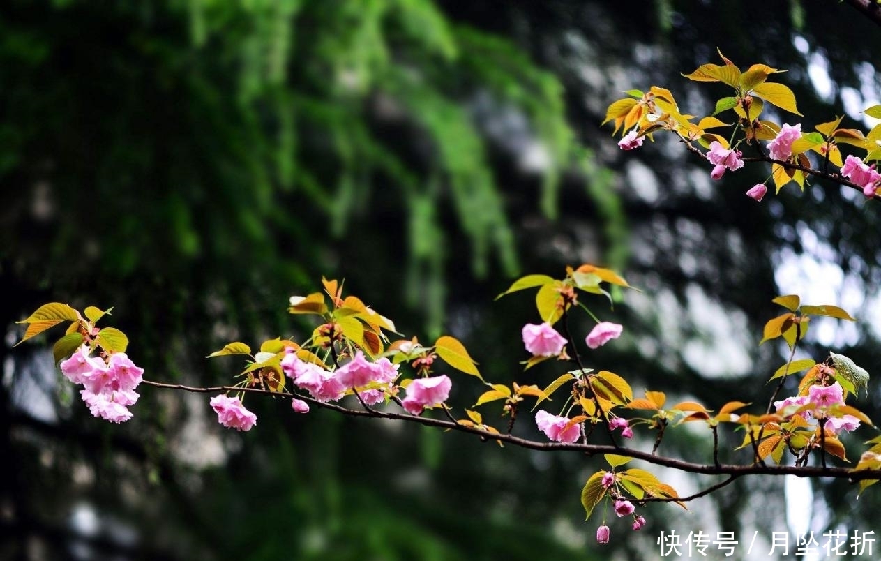  逆风|不要着急结婚的几星座，遇到真爱不放手，逆风翻盘收获美好姻缘