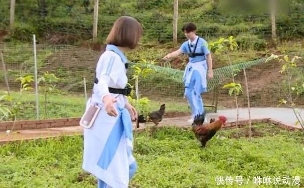 挑战|恕我直言,《极限挑战宝藏行》下一期的收视率要爆了!