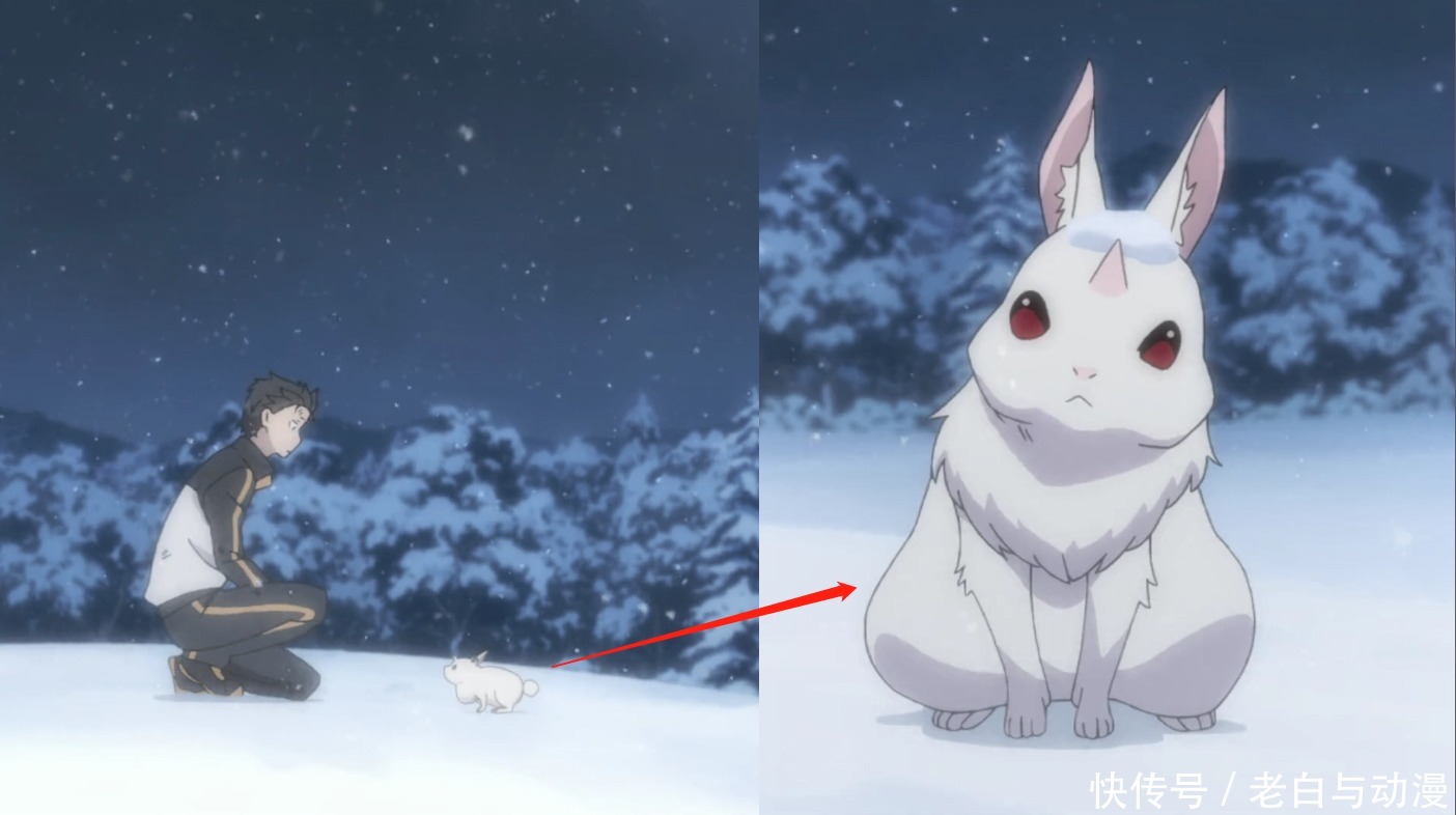 遭遇|同样是遇见“兔子”,桐人和亚丝娜炖吃,菜月昴却被兔子吃