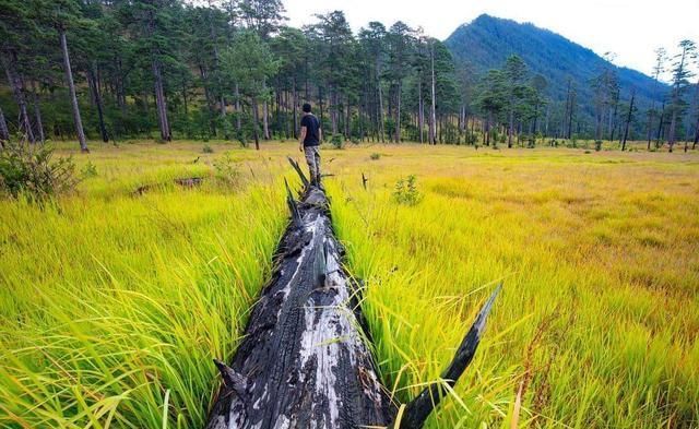  西藏|美丽的藏南地区，有世界雨屋，西藏江南的美誉