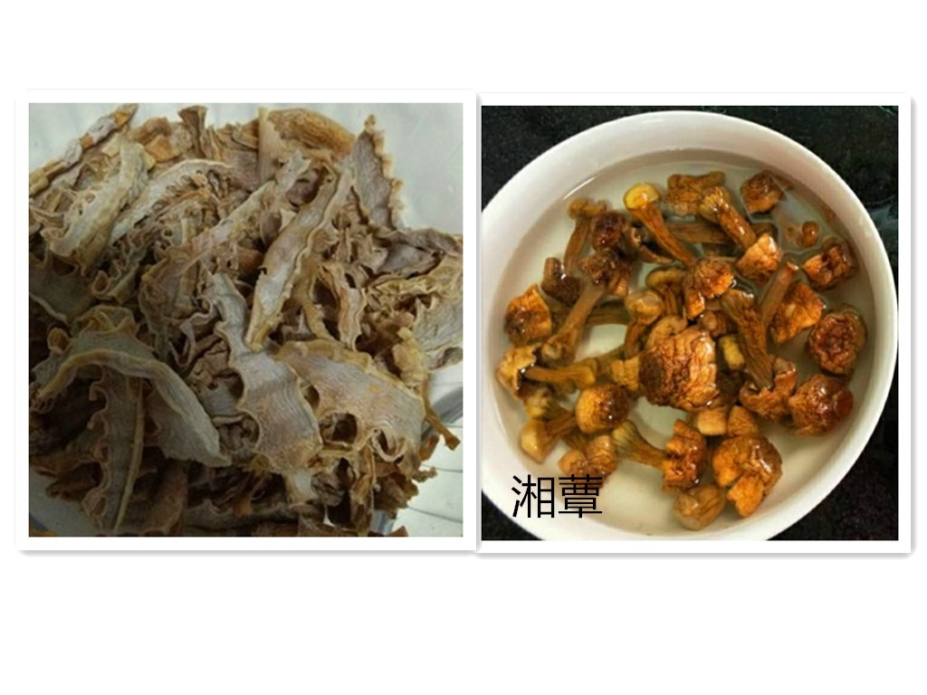  笋干|芳香四溢/湘蕈姬松茸笋干炖肉