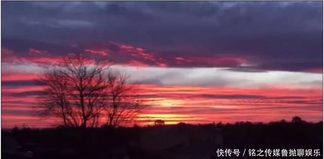 再见|绿地张雨婷突然发声,隔空喊话史睿生:这辈子不会再见