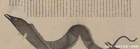 古人|为什么古人把“海鲜”称为“海错”?谈谈中国人吃海鲜的历史