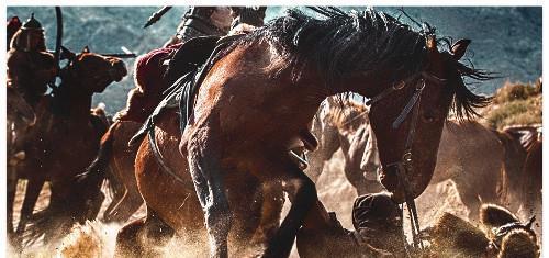 后人|刘禅去世37年后，一个开国皇帝自称他的后人，还给蜀国报了仇！