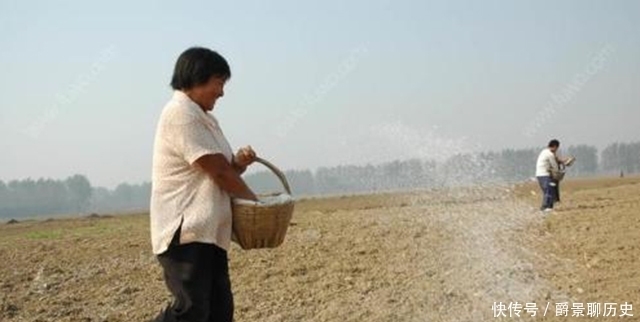 消毒|生石灰消毒杀菌效果好,成本低,不过很多农民用错了!