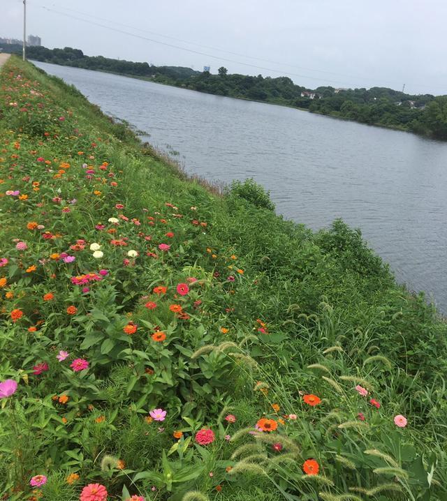 足以|竿梢常指水,足以慰风尘