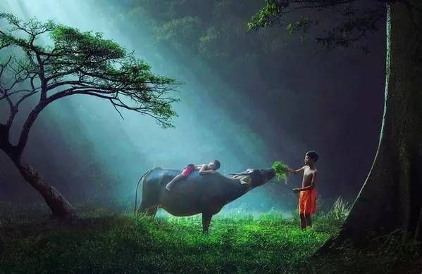 妈妈|从四岁起就对女儿“放养”,这位妈妈是这么做的