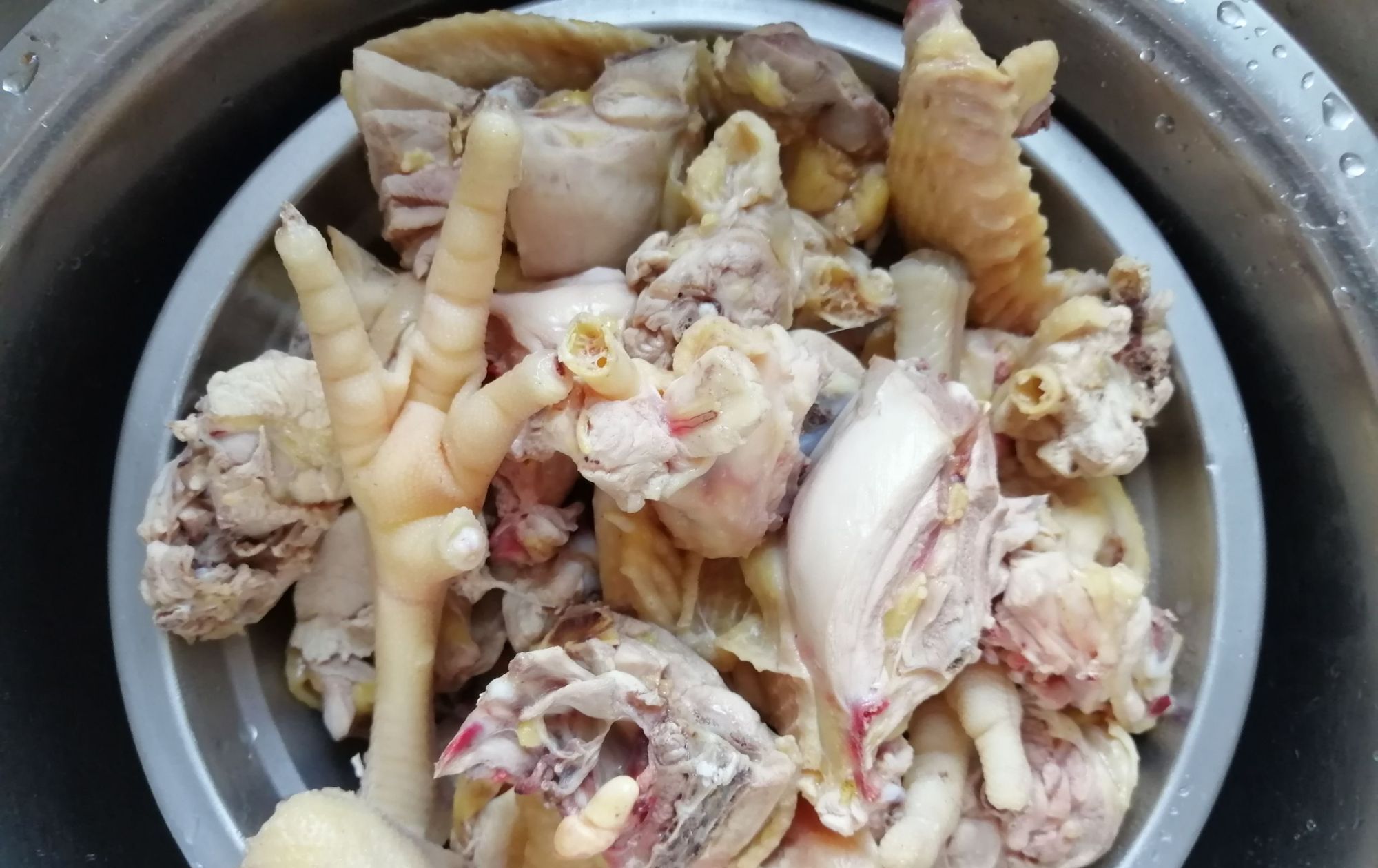 青霉素|“天然青霉素”是它,三天吃一次,咳嗽肺热不见了,很少人知道