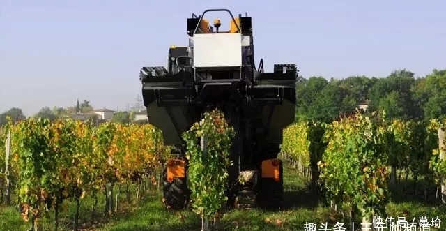 高价|别卡速:低价酒与高价酒的本质区别在哪里【红酒知识36】