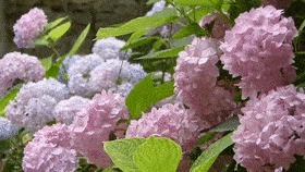  生活|如果《向往的生活》来峰峰，取景地一定在这里……