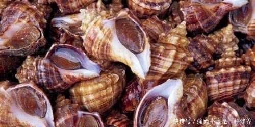 古人|为什么古人把“海鲜”称为“海错”?谈谈中国人吃海鲜的历史