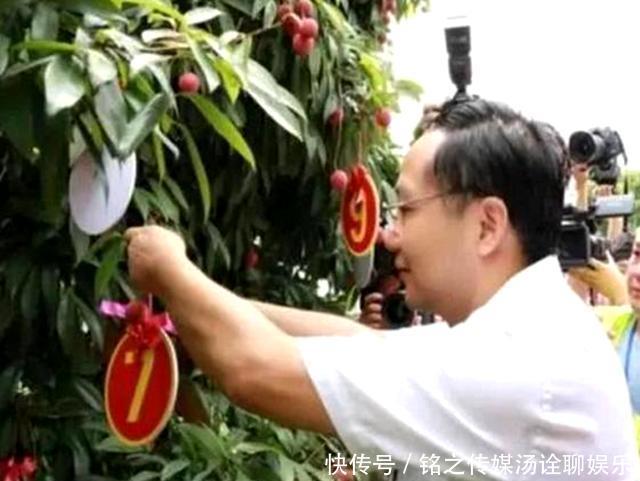 荔枝|19年前花55万拍下一颗天价荔枝,曾经的天价荔枝,如今怎样了?