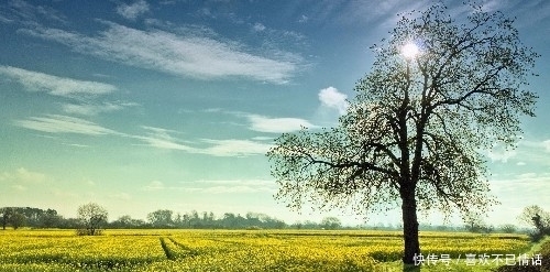 大奖|9月15号开始,运势上上签,富得流油,不缺横财不缺大奖三生肖