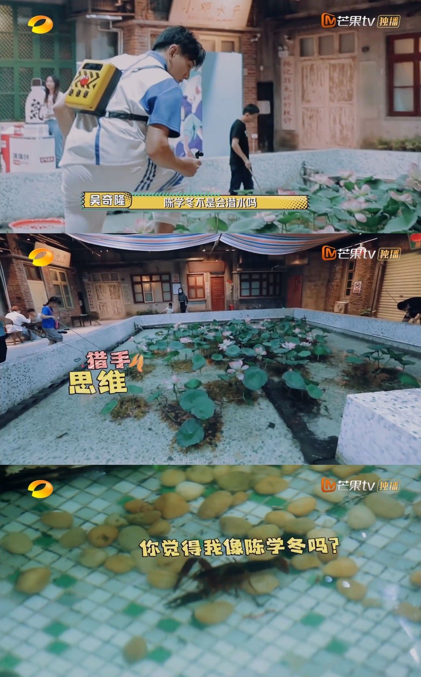  男人|今年最好笑的综艺！胡军杨洋领着一群男人天南海北地玩捉迷藏