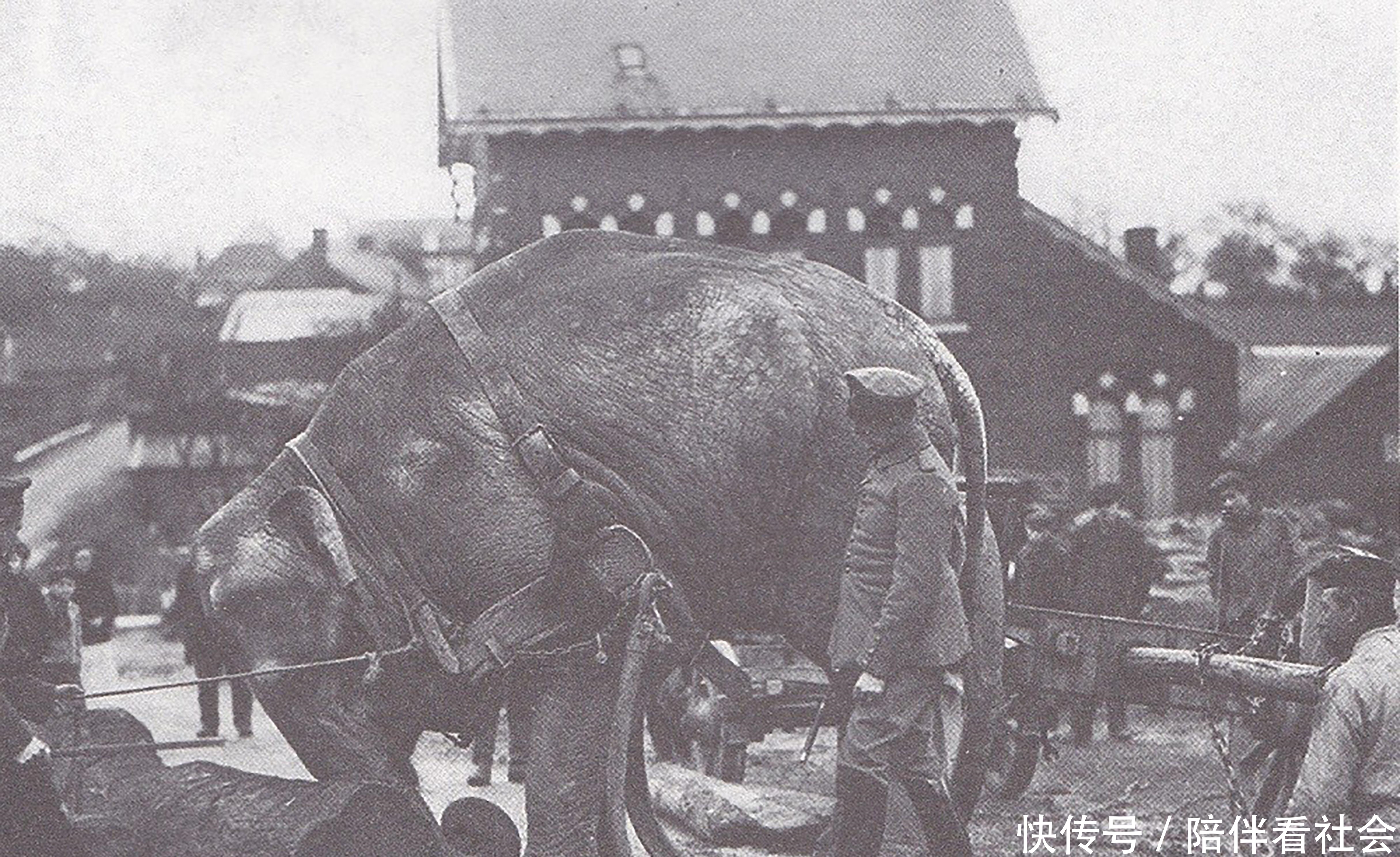 参观|历史罕见照:躺棺材中的墨索里尼,参观女子学院的希特勒,坦克上煎蛋的德军