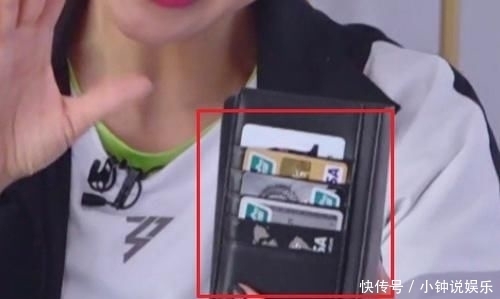 节目|乘风破浪的姐姐王智手机壳走红,塞满银行卡,网友:不会消磁?