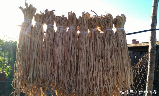 冬季|立秋后,这5种蔬菜,建议一次买20斤,能吃到冬季,炖菜炒肉香