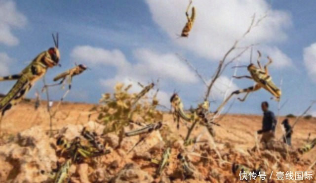  全世界|联合国紧急预警，第二场危机已席卷而来！给全世界敲响了警钟