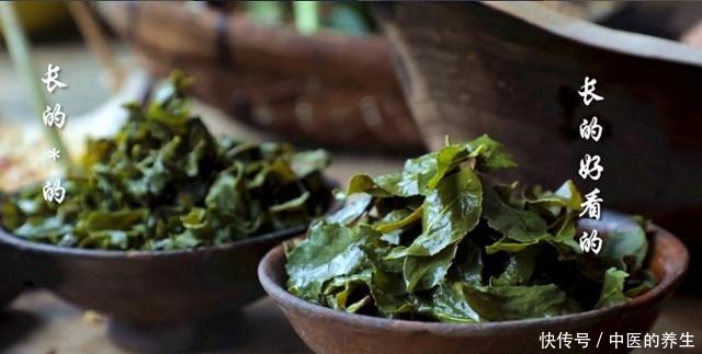 配料|李子柒做剁椒酱,看到配料里的“它”,网友这样真的好吃吗