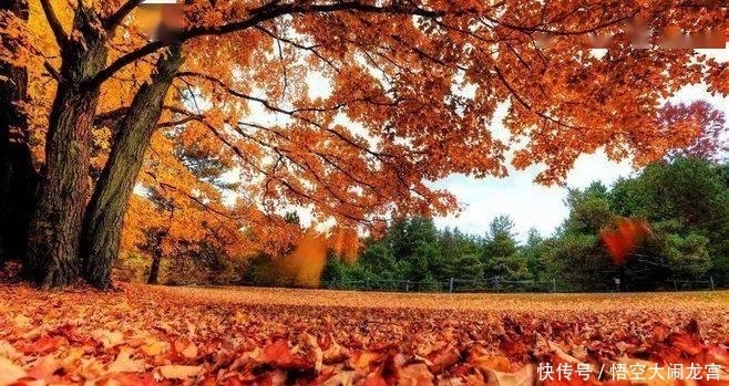 心生|曾国藩：相由心生，你的脸就是你的命