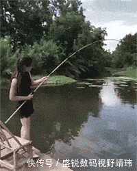 到底|搞笑GIF:美女别再拍了,饭到底还做不做了