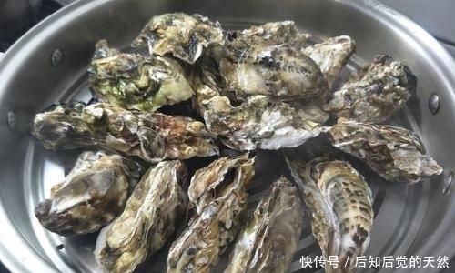诱惑|美食诱惑,蒸生蚝,冷水下锅还是热水下锅,蒸几分钟?做好了鲜美好吃