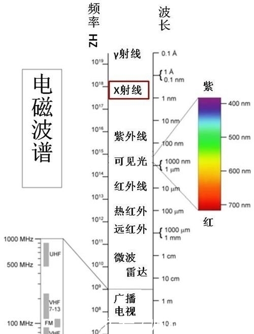 内藏|美国民众拒绝戴口罩，宣称口罩内藏5G天线，将控制大脑导致患癌