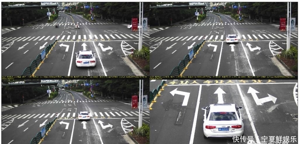 交通违法|囿山路、紫金路、人民街、中山街……这些行为被曝光