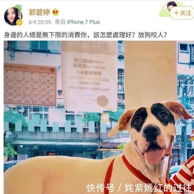 小腹|郭碧婷已成功“卸货”?工作室晒其写优雅真照,小腹平坦身材纤细