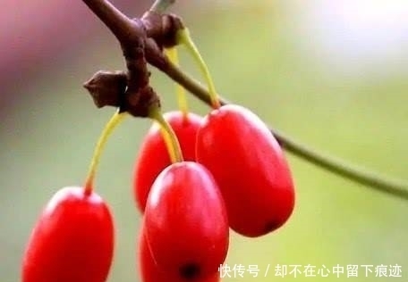  处世|真正厉害的人，往往具有这4种处世智慧，早晚出人头地