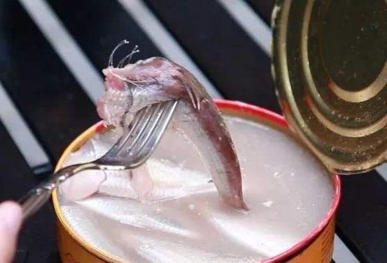 鲱鱼罐头|如果给你1000块,6种难吃的零食选一种吃3天,你选择吃哪一种