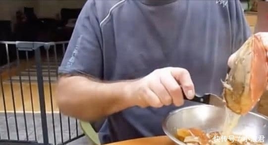 日本|试吃日本800元一只的面包蟹, 敲开瞬间才知道什么是“顶级海鲜”