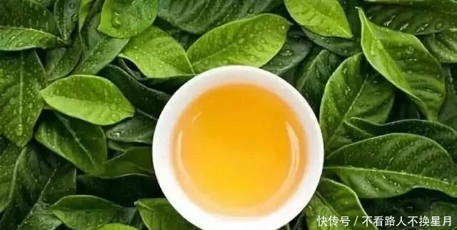 种东西不可|好人有好报,好因有好果!善良做人,心安一生