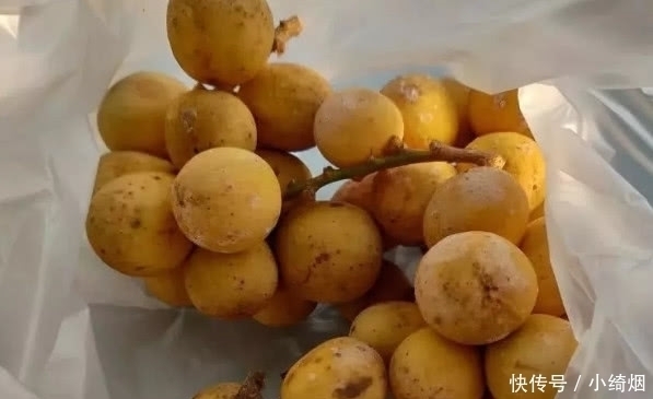 火龙果|名字带“龙”的几种水果,我赌2个冰棒,你只吃过两种