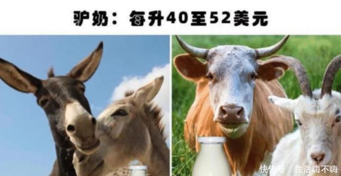  动物|六种价格昂贵的动物液体，人类就独占两种，即便富人也很难买到