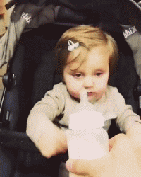 GIF|搞笑GIF:看到最后我就放心了!