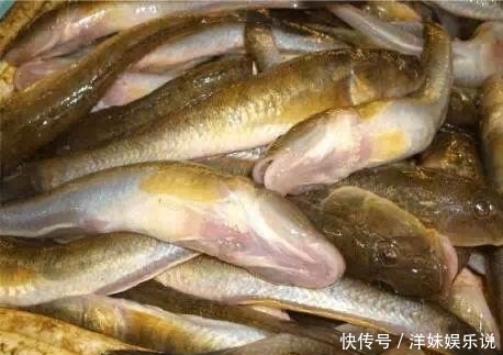 海鲜|海鲜大全, 你能认出多少