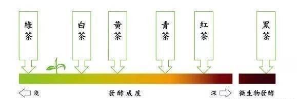 指南|一篇文章告诉你，新手如何区分六大茶类（附冲泡指南）