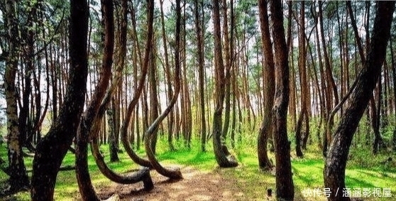  发生|地球上正在发生的15个奇异现象, 其实你一张都没见过