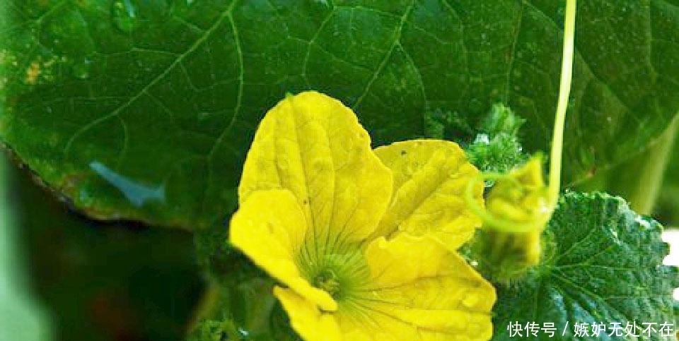 不必|富有哲理的经典句子,句句中肯,句句入心