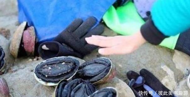 拒绝|新西兰为何态度大变?被多国拒绝后幡然醒悟,只有中国能帮我们