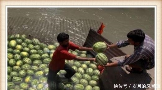  原因|男子将西瓜全部都放在水里, 路人都笑他傻, 知道原因之后大家纷纷点赞