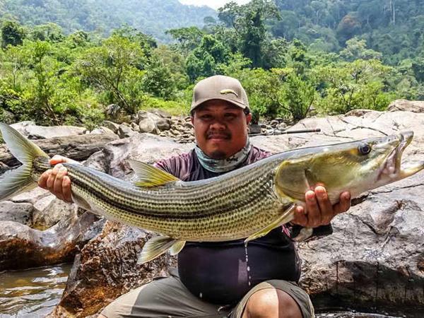 经完全消失|曾经的“长江一霸”,如今却无奈出国,到别国“求生存”