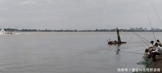  淡定|苦中作乐！长江边房子被淹，男子淡定二楼垂钓