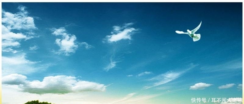 担惊受怕|周枫先生:人为什么会总是担惊受怕?