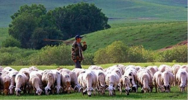 烤全羊|朋友请吃烤全羊,却只点了一份,原本以为小气,菜上后“傻眼”了