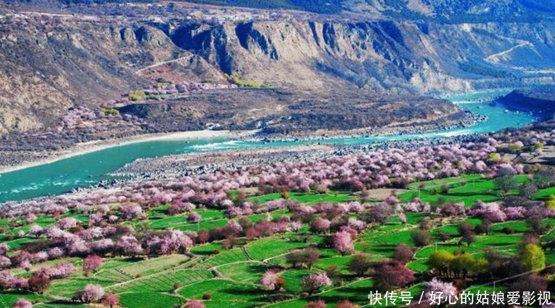 写下|王安石晚年大病一场，还写下两首凄美之作，每一首都感人肺腑！