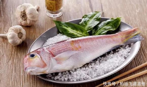  方头鱼|女性必吃的一种海鱼