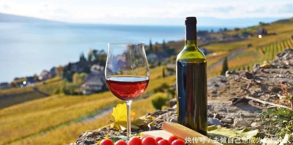 酒精度|酒知识︱葡萄酒里都有什么?