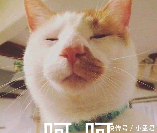 神奇|58同城, 一个满是骗子和黄牛的神奇网站